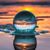 Amis Lee's profile image