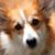 Suzanne M Crawshaw's profile image
