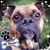Sarah Leahey's profile image