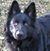 Marietta Cunningham-Knight's profile image