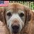 Donna Hayes Gargiule's profile image
