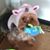 Kim Scott Leinad's profile image