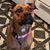 Tiffany Arter's profile image