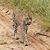 Linda Oettinger Morris's profile image