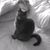 Patti Meehan's profile image