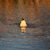 Courtenay Wells's profile image