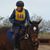 Terri Renwick's profile image