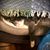 Nicolle Genavive's profile image