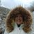 Sherri Ferro's profile image