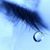 Amanda Davis-Young's profile image