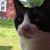 Dawn Burkitt's profile image