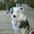 Conna Boenker's profile image