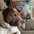 Tammy Dunbar's profile image