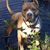 Becky Loeffler's profile image