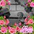 Tammy Riley Mandigo Wickes's profile image