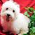 Robin Matchett's profile image