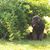 Tina McNary's profile image
