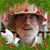 Stephanie Griffiths's profile image