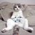Chris Thomas's profile image