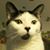 Beth Herndon Frame's profile image
