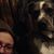 Shelby Dee Poe Warnick's profile image
