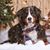 Sue Warner Fagan's profile image