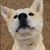 Hideyo Watson's profile image