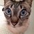 Marcia Carrara's profile image