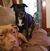 Cathy Crandell's profile image