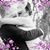Tianna Hradowsky's profile image