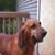 Laura Guinan's profile image