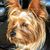 Oscar Kimes's profile image