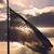 Matthew Lacey's profile image