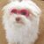 Sherry Denecker's profile image