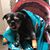 Lyn Wooten's profile image