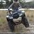 Michael Lombardino's profile image