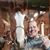 Susan Crabill's profile image