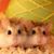 Corinne White's profile image