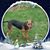 Shelley Soukup's profile image