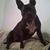 Danii Hagist's profile image