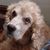 Carla Ronnie Oakley's profile image