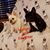Lisa N Wicket Regula's profile image