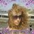Rebecca Wyckoff Santiago's profile image