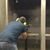Jose Antonio Morales Lorente's profile image
