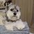 Trisha Jenkins's profile image