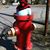 Rosie Steele's profile image