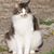Brenda Kelley's profile image