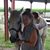 Pam Gladney's profile image