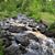 Sheryl Bylsma's profile image
