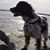 Heather Martino Fox's profile image